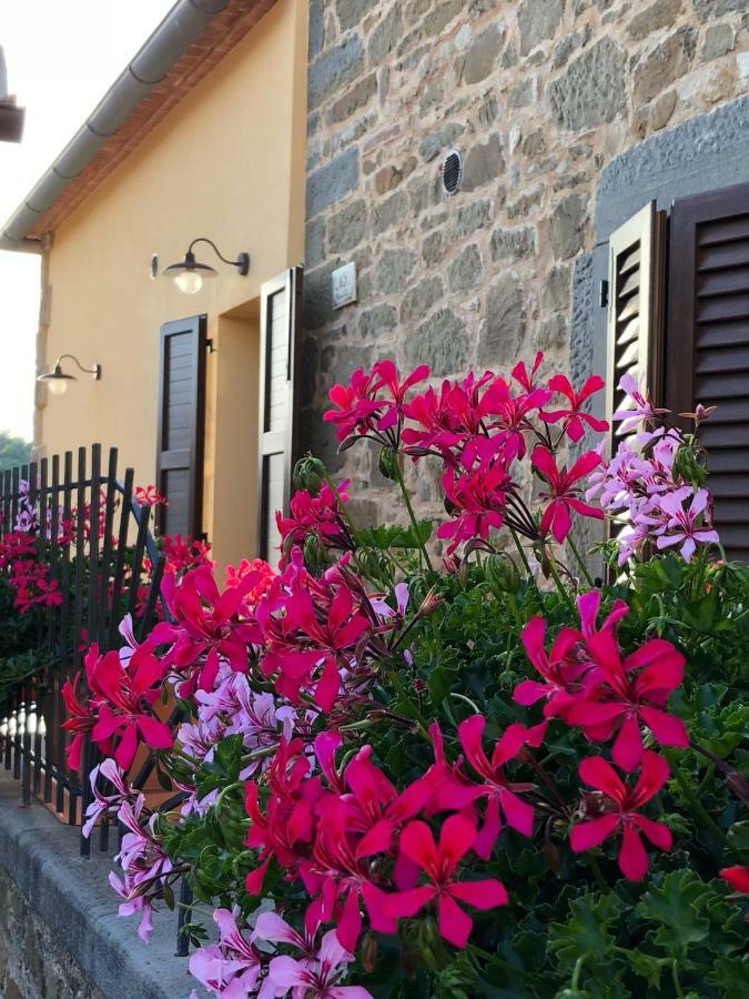 Mamma Laura Apartamento Vagliagli Exterior foto