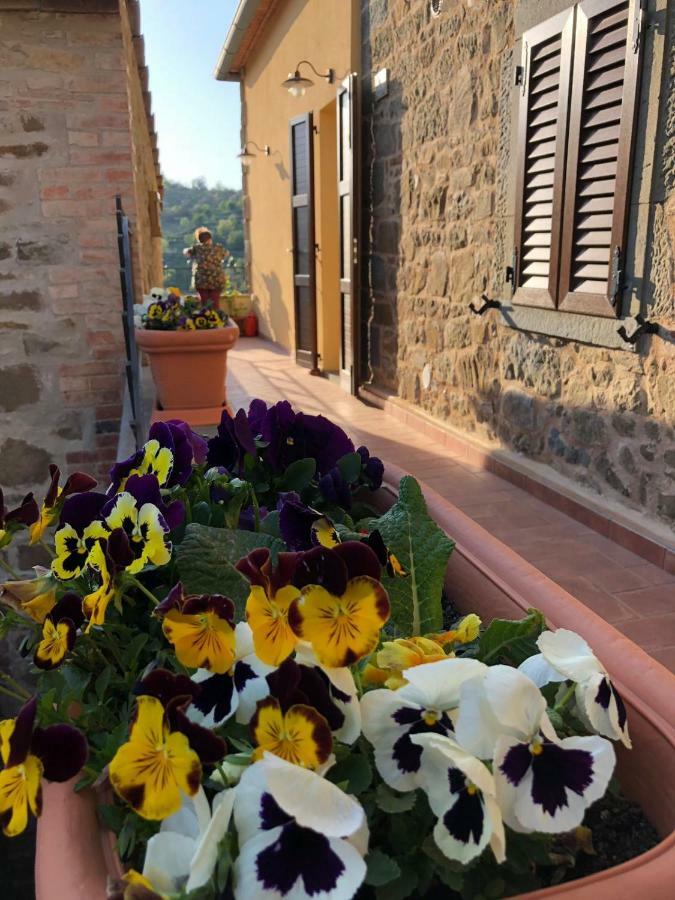 Mamma Laura Apartamento Vagliagli Exterior foto